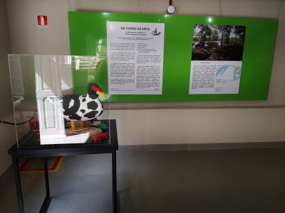 Exposição no Palacete Faciola destaca a tradição da culinária típica do Pará