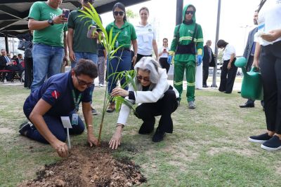 Porto Futuro recebe novas mudas de plantas nativas como parte da programação do Fórum Nacional Verdemocracia
